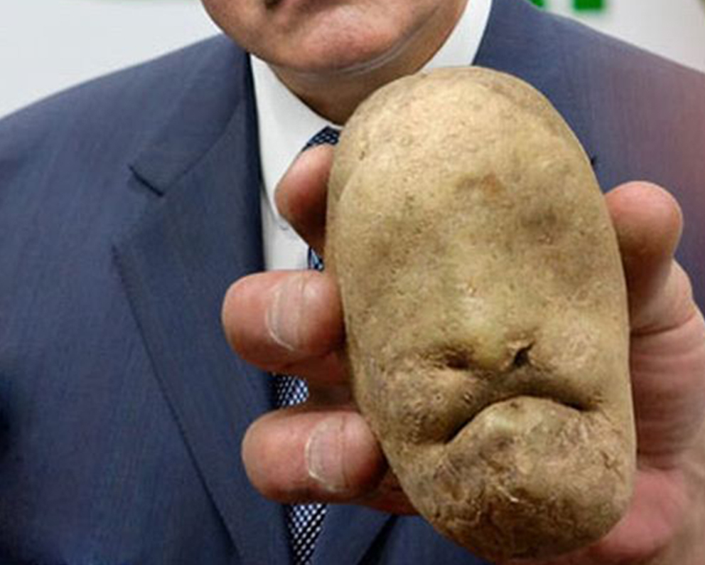 Петр Ян картошка